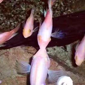 🌈🌈梦里寻^O^她^O^千百度🌈?