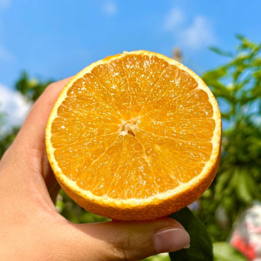 七禧生鲜