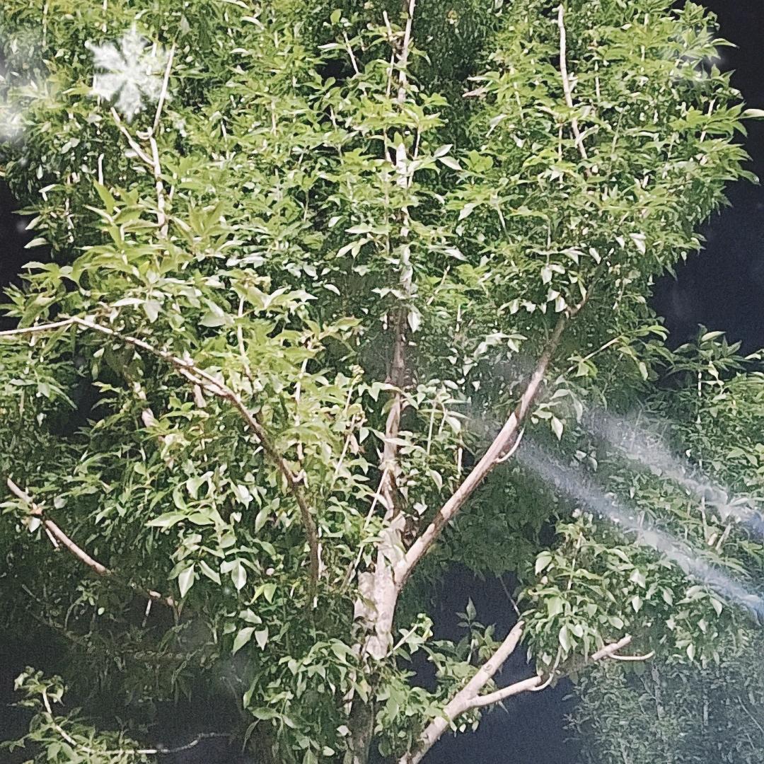 爱与恨