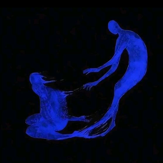 兰州海洋公园/鲨大咖