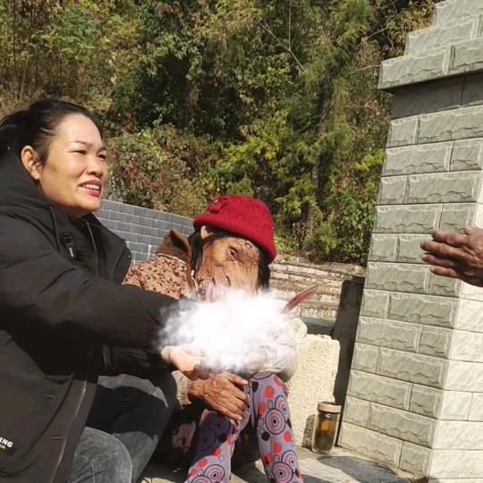 姐妹花