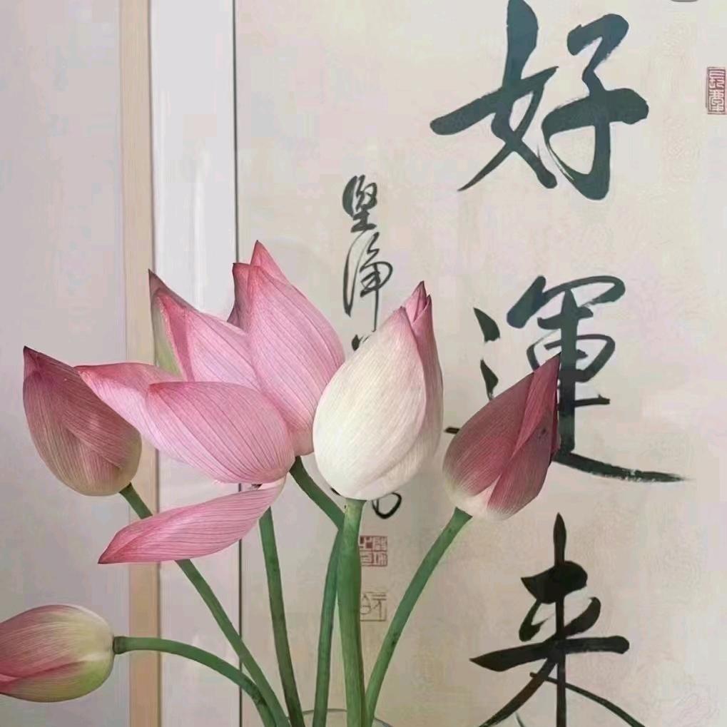 人无钱不如鬼，汤无盐不如水