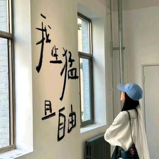 只想有三秒钟的记忆