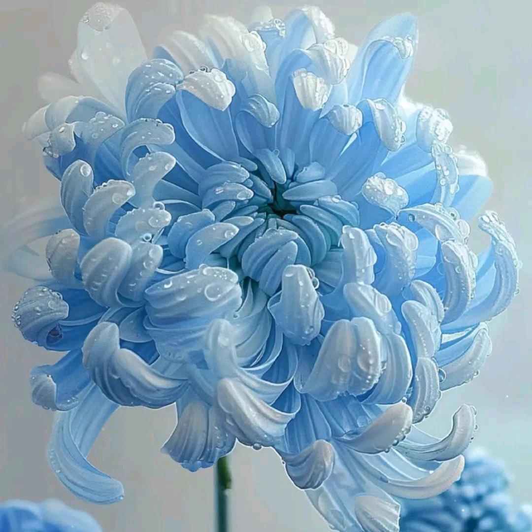 赞赞冲刺了冲刺了