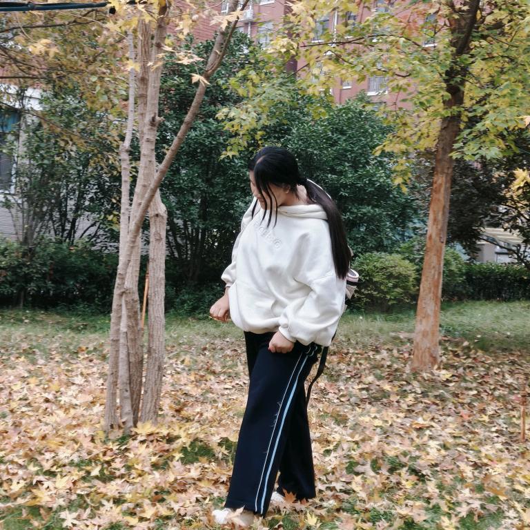 ✨申