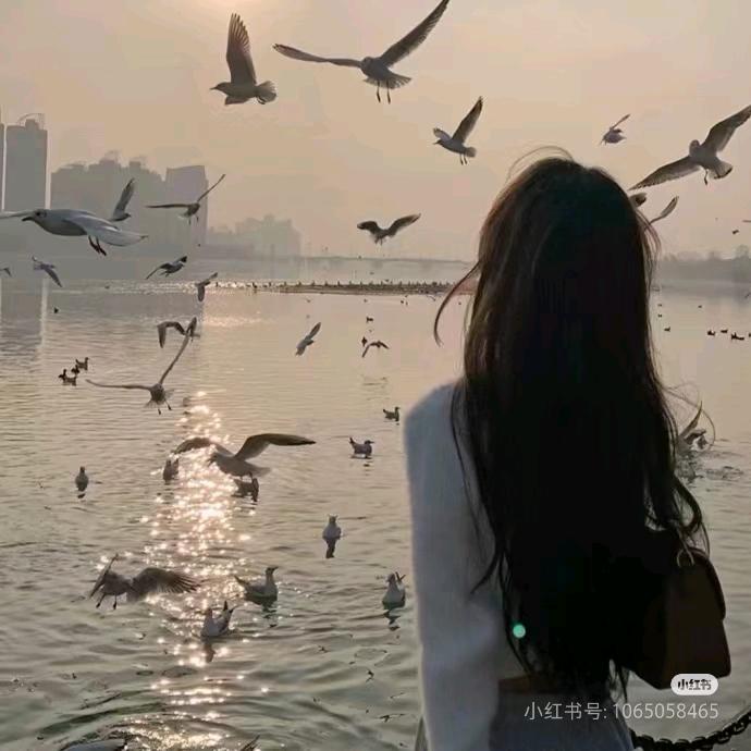 无虞