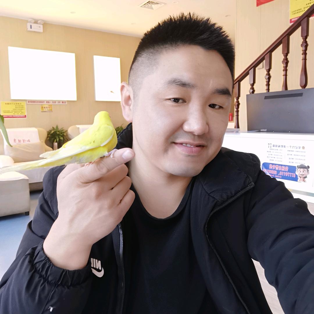 训鸟小李哥