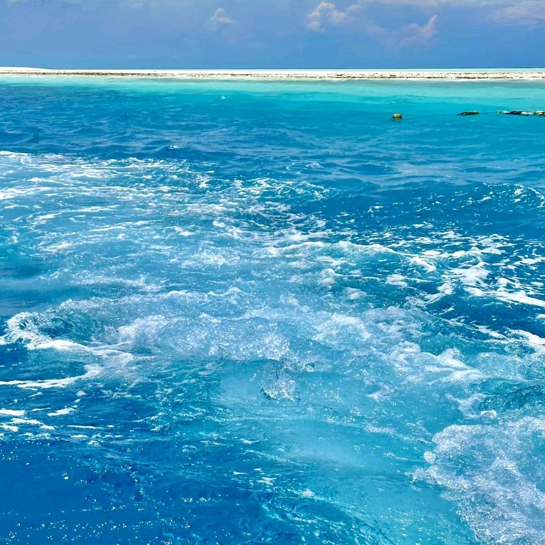 海风配香槟