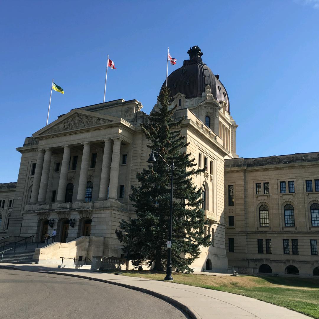 爱新觉罗㊣神豪