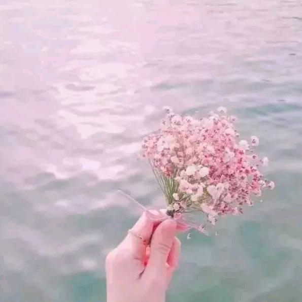 小小虎