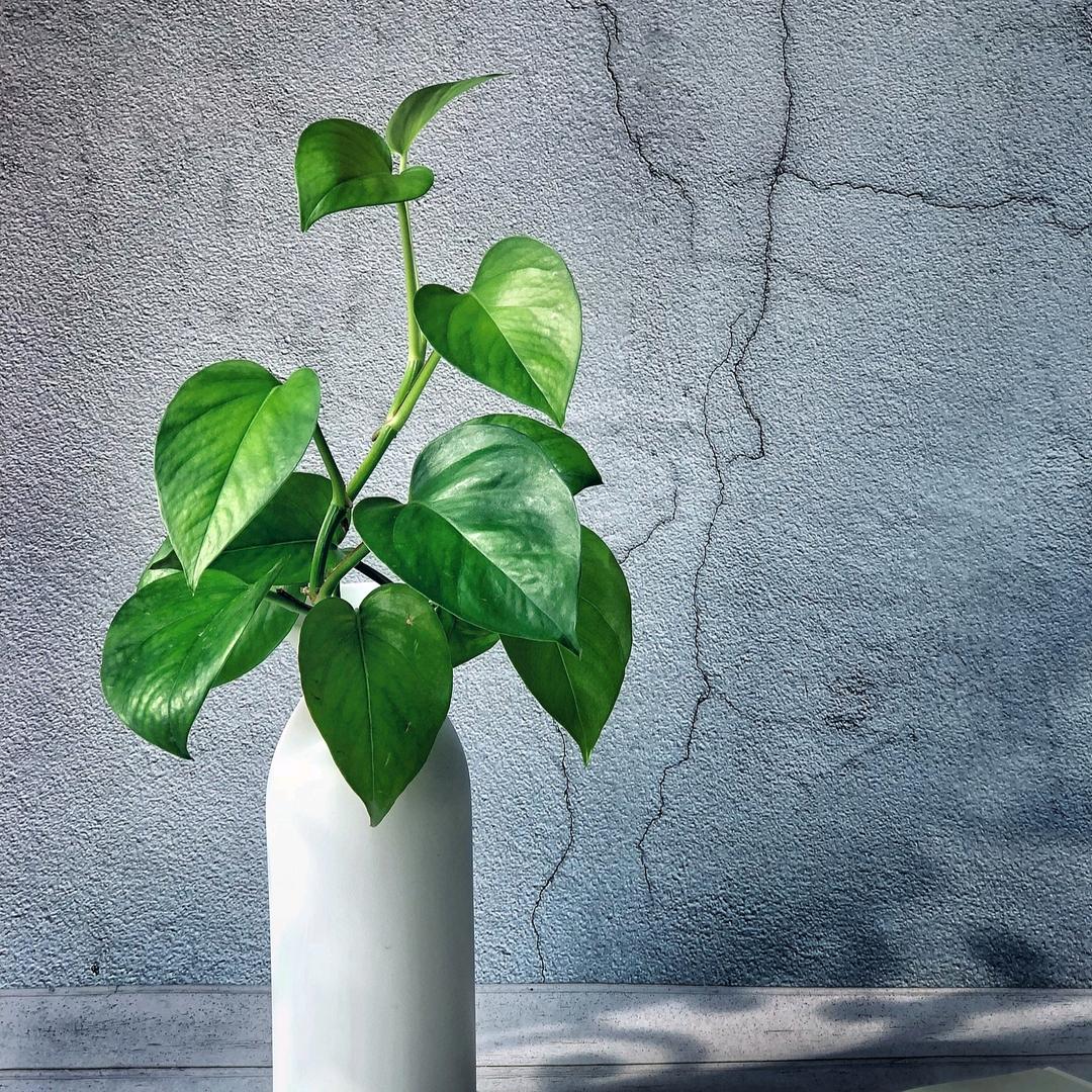 3802我为平台带利益@平台助我得收益