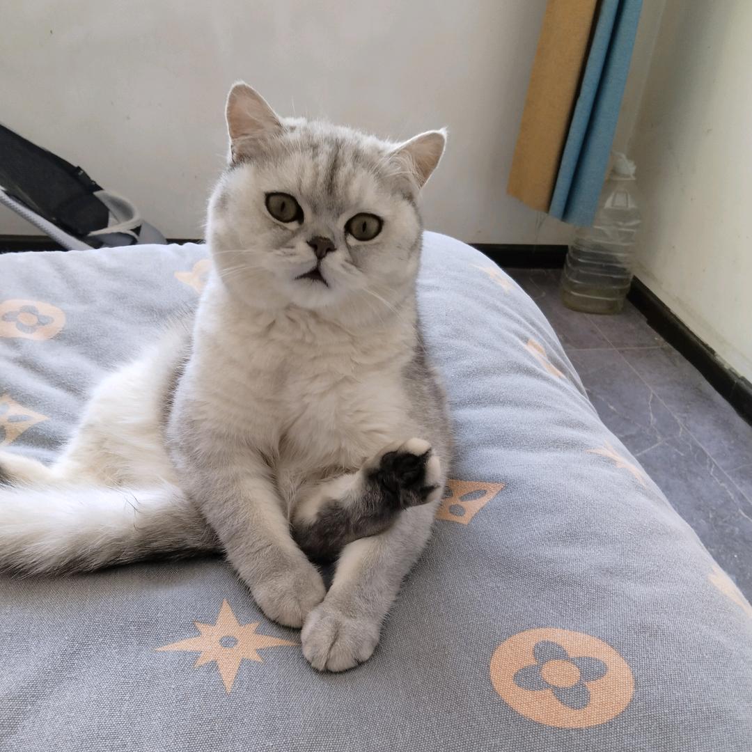 《》换位思考《》