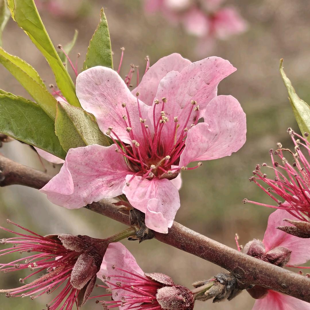 (⑉°з°)-♡不如见一面