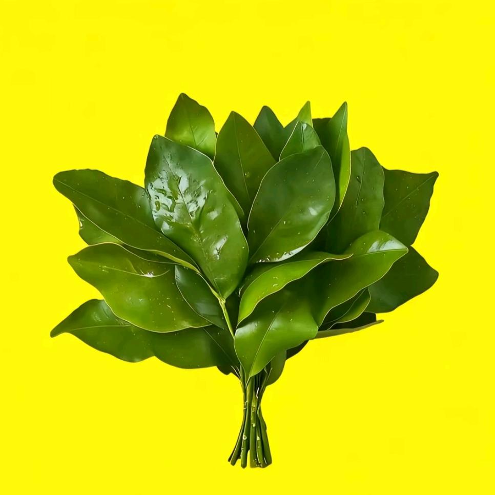 淘气萝卜