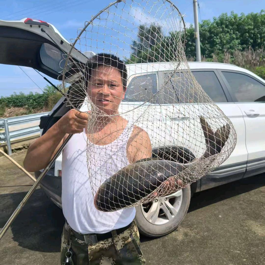 蜀山孤狼（百分百广告老莫）