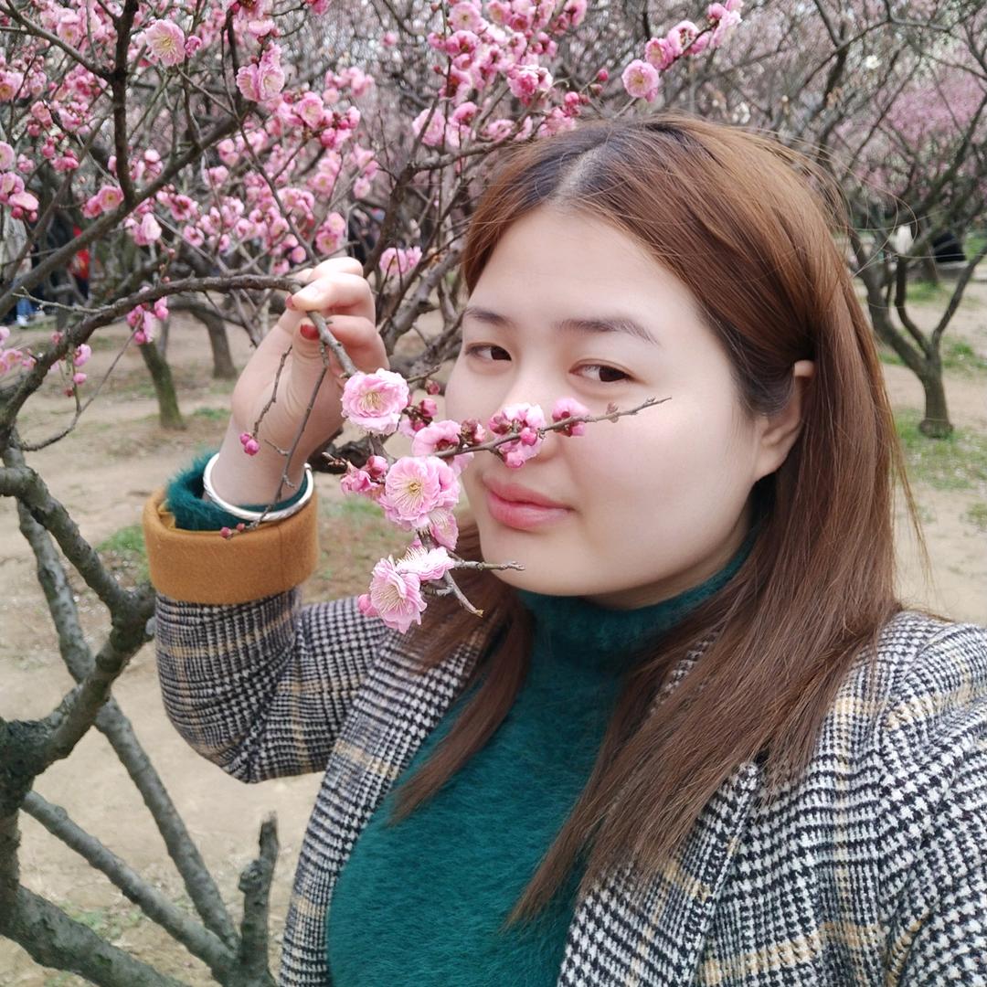 梅梅凤凰涅槃