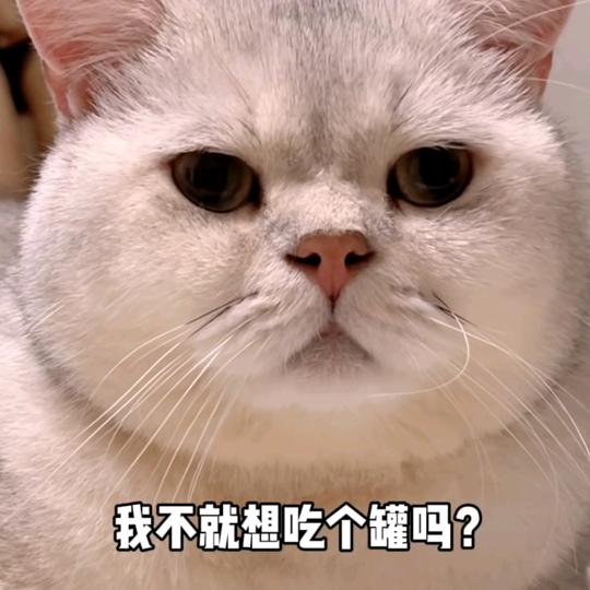 王硕+++