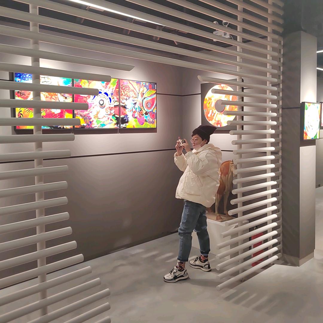杨小杨