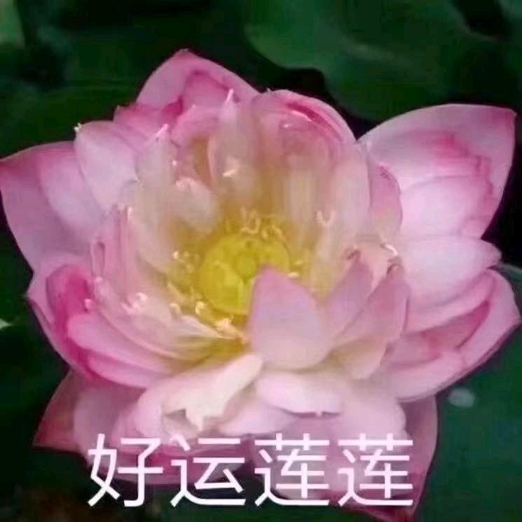 开心快乐6688