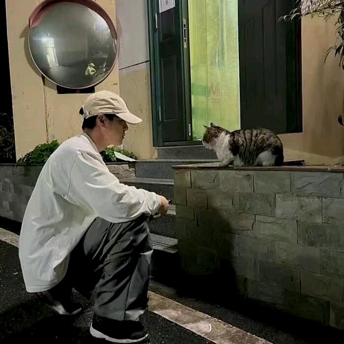 洒脱 辰辉