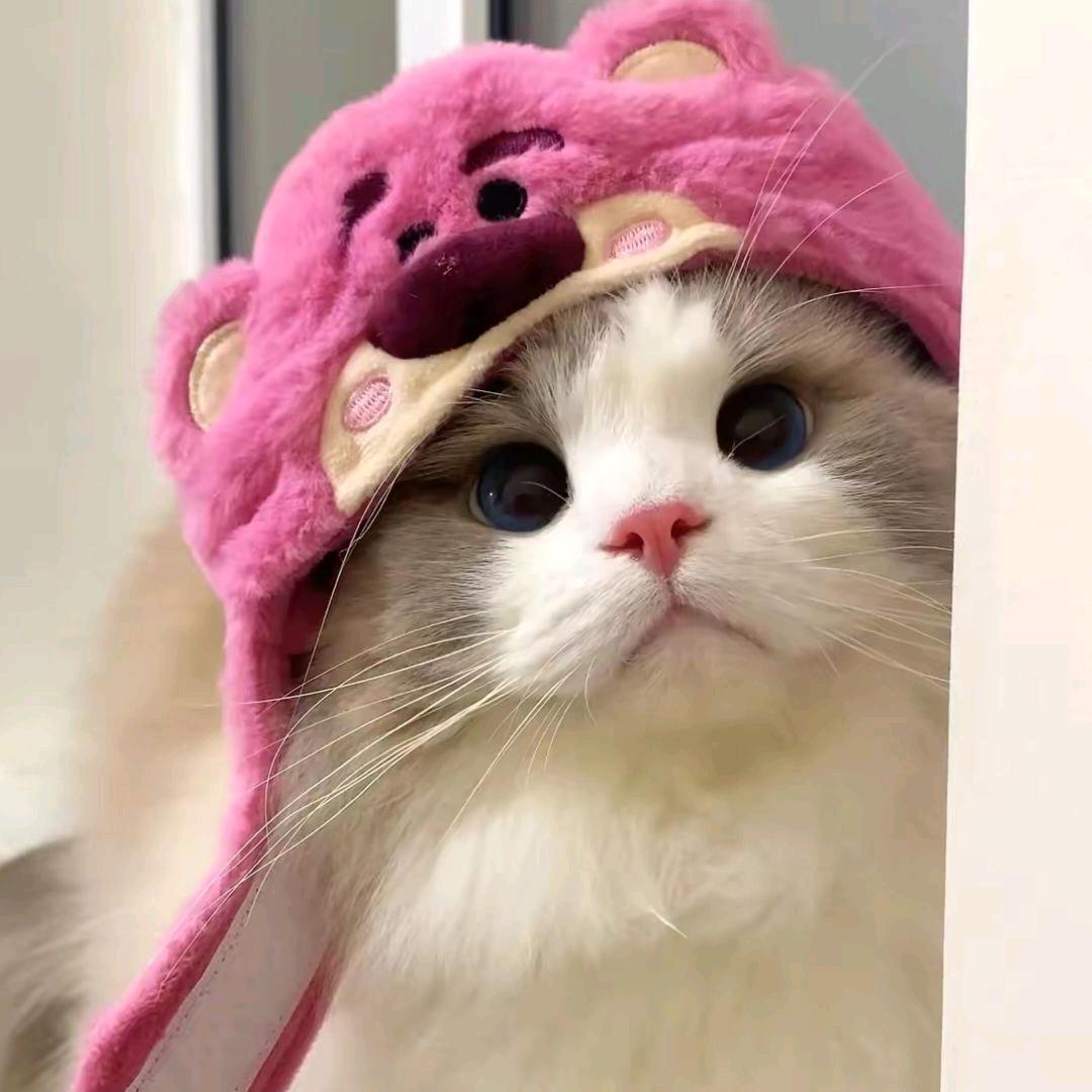 影千城