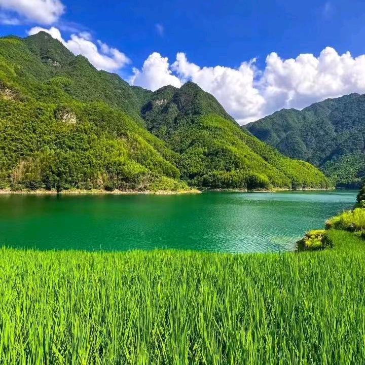 嘉煊小厨