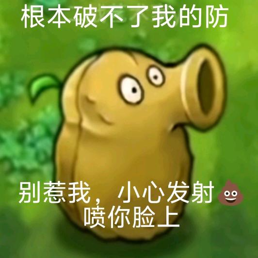 不吃不吃