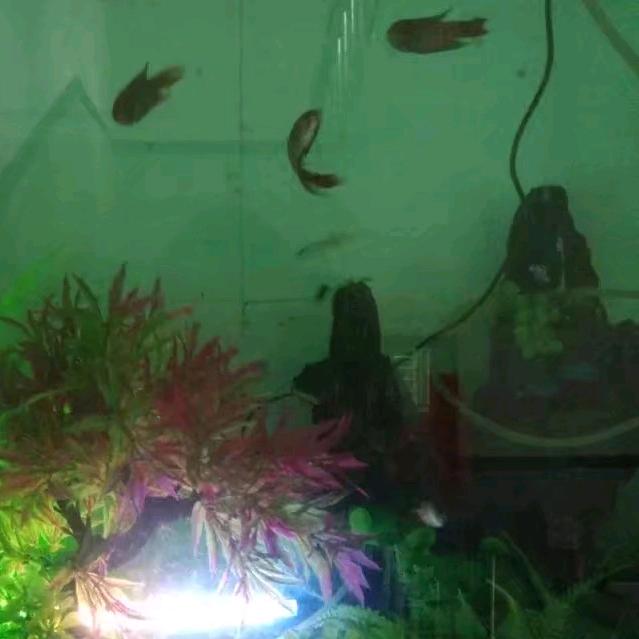 ♥沉默♥