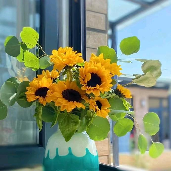 非凡🌻新城花园店