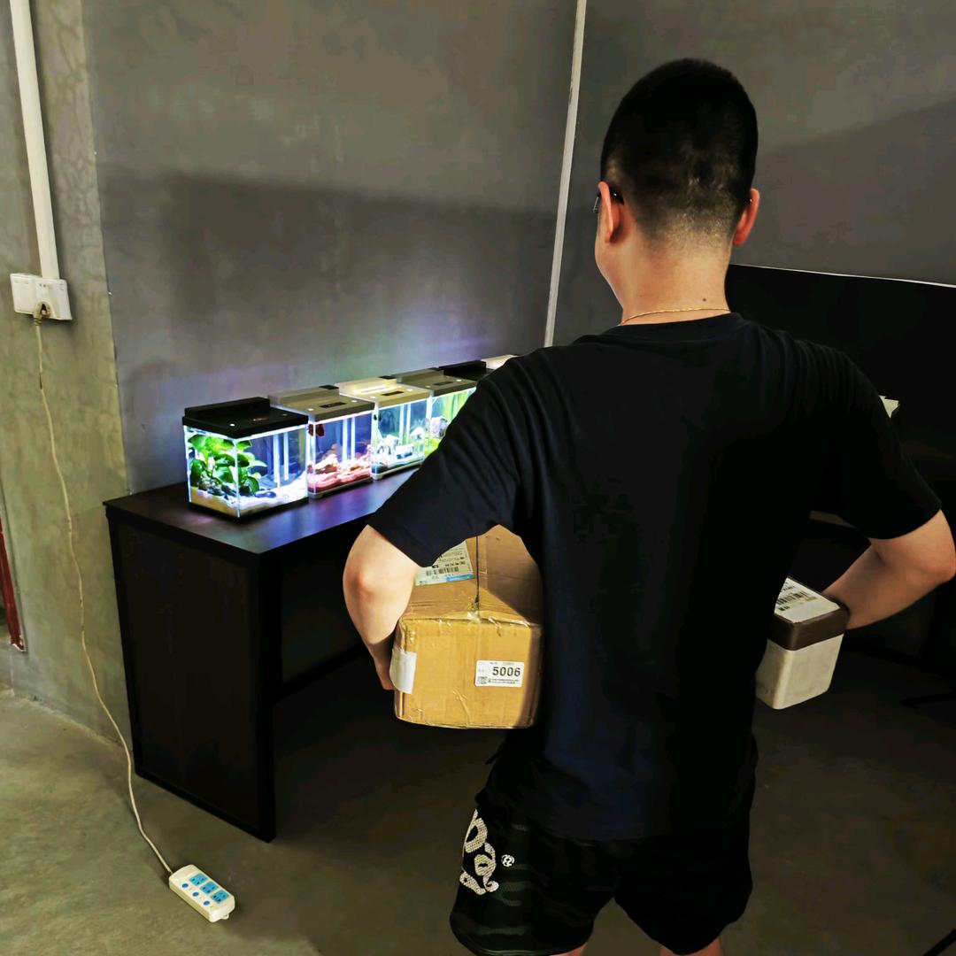 凡人养鱼传