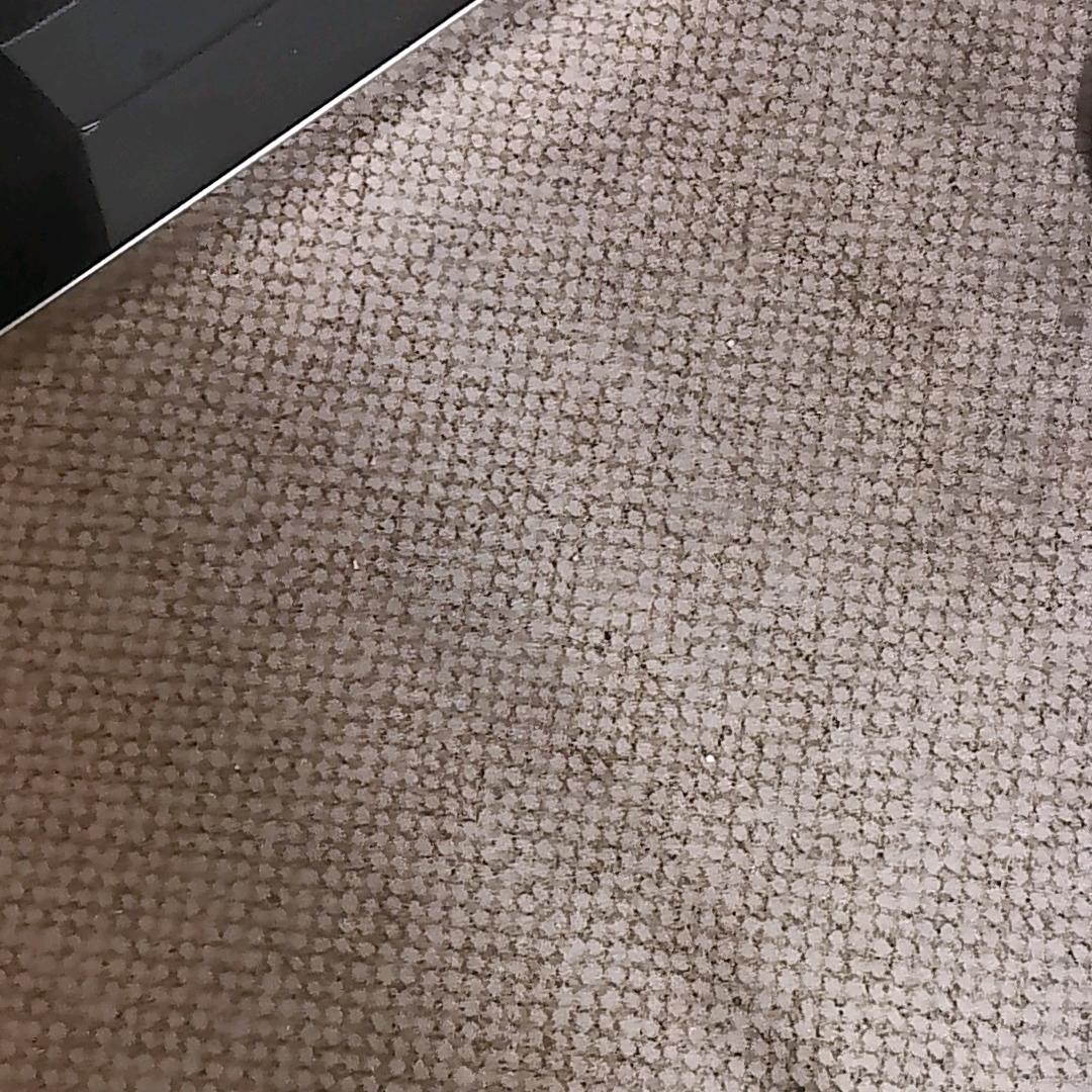 糕米