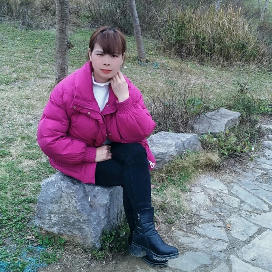 杨会