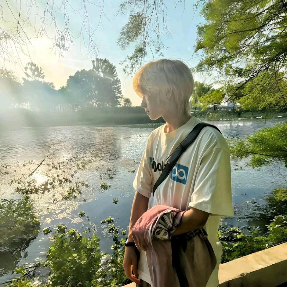 镜花水月