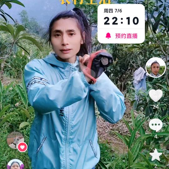善缘香果