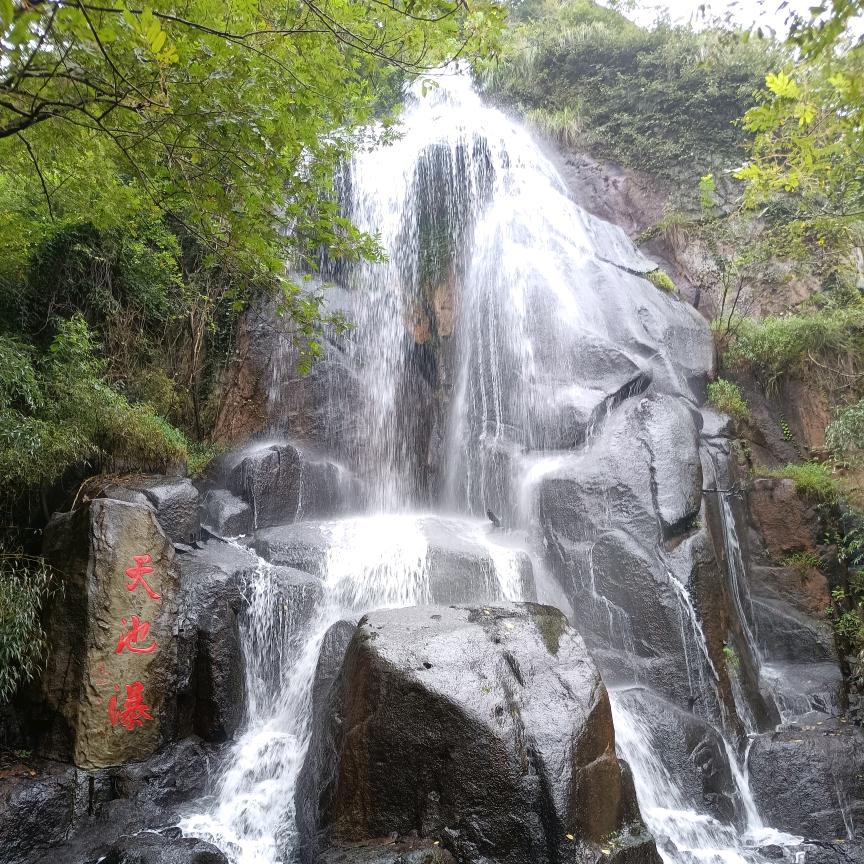 何🐎₂₀²⁵🐎