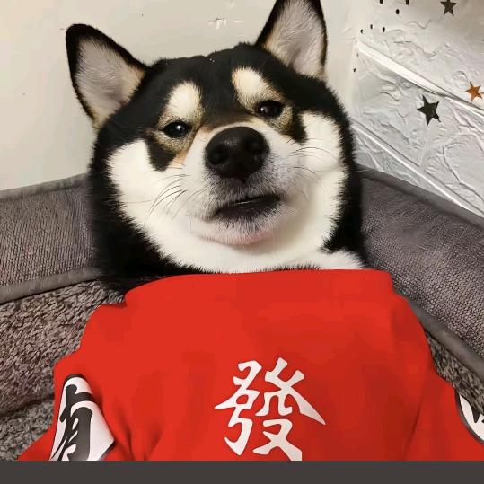许下三千诺