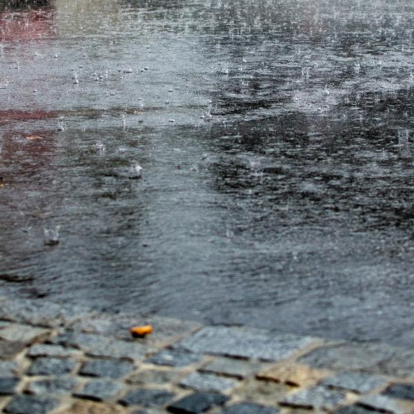 雨哥