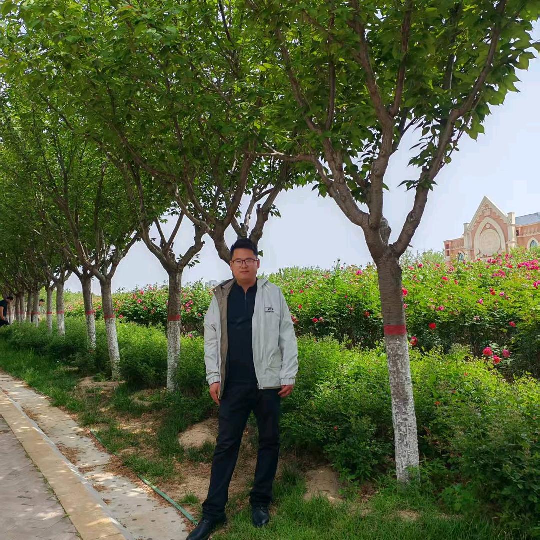 阳光帅气