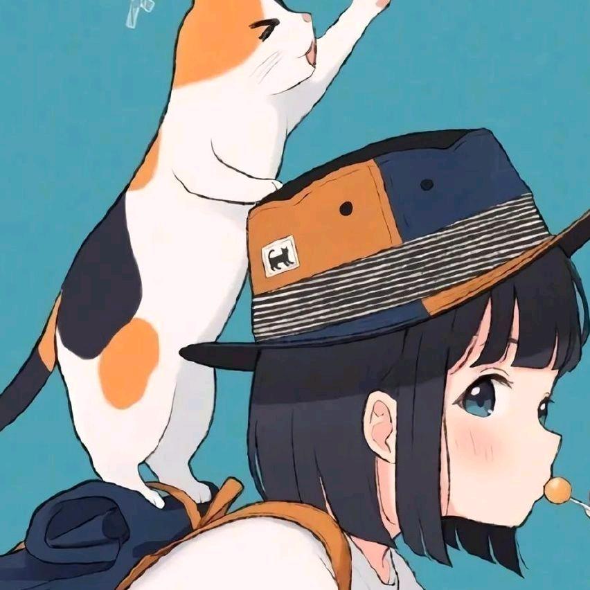 猫猫女孩优选