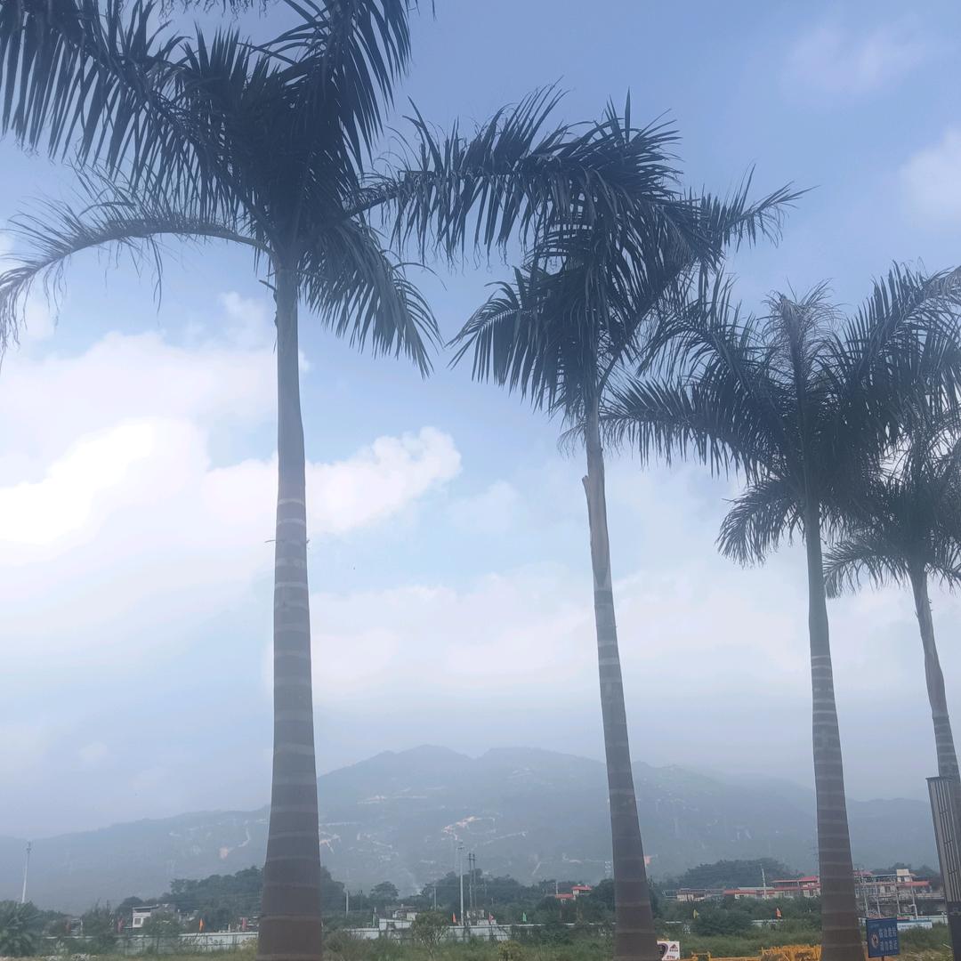 小林