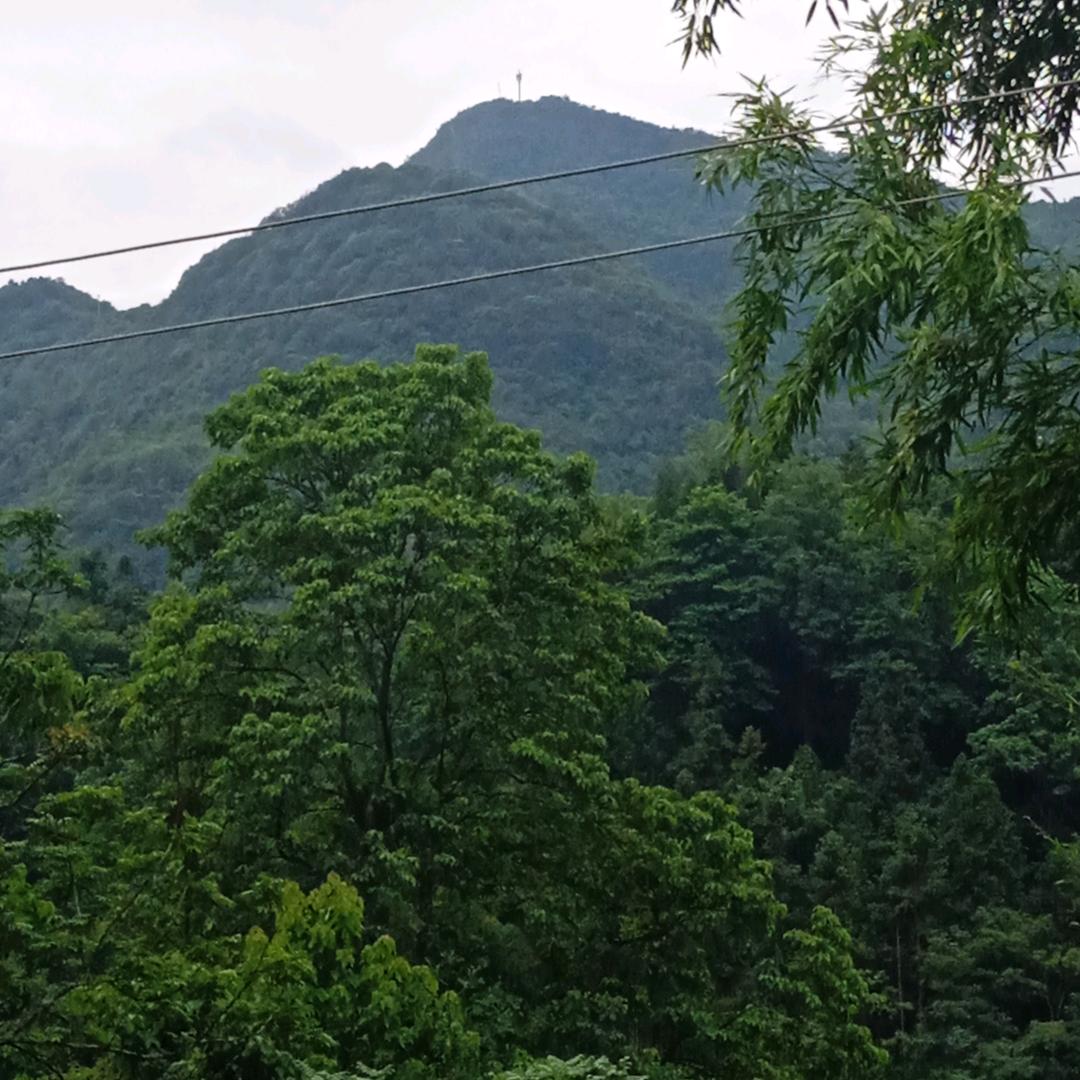 赵