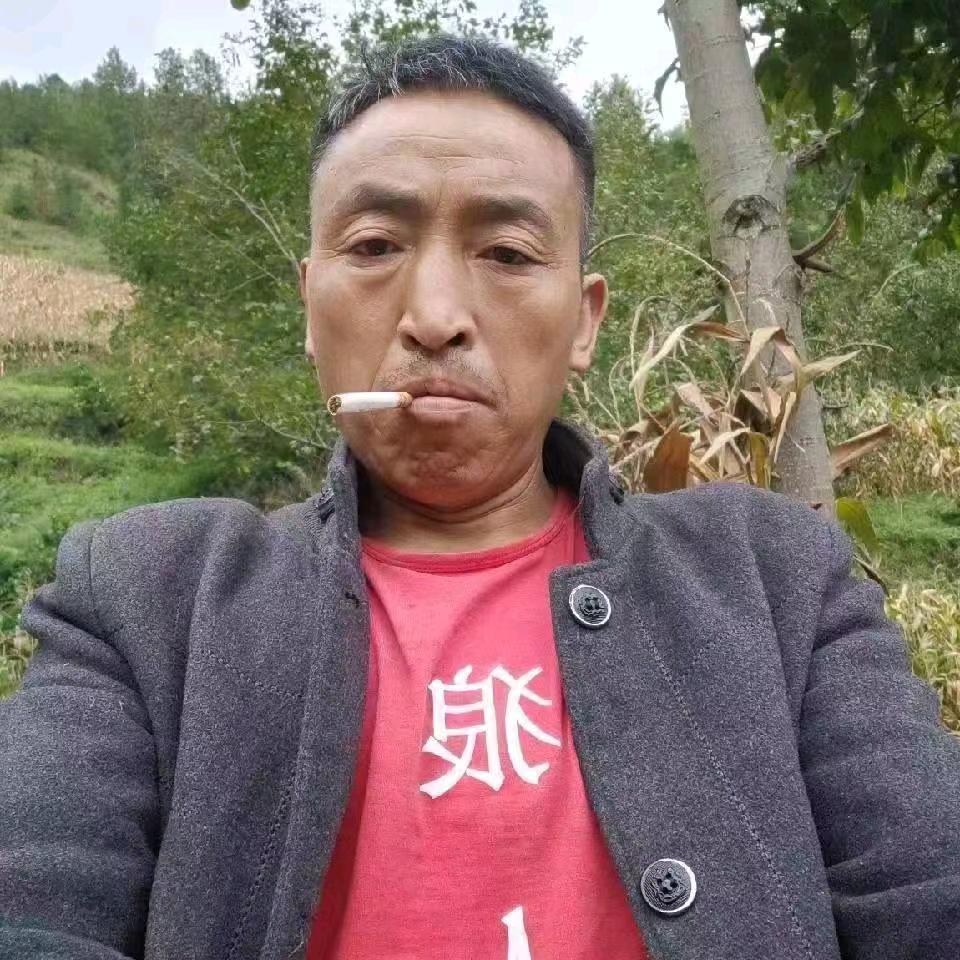梦想成真张