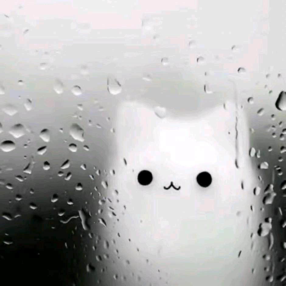 林宇y