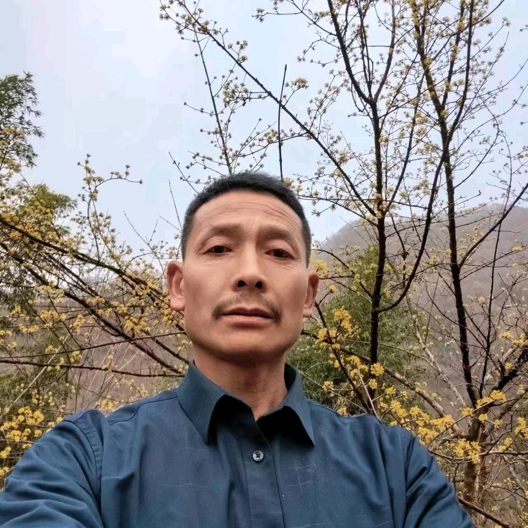 老梁种植