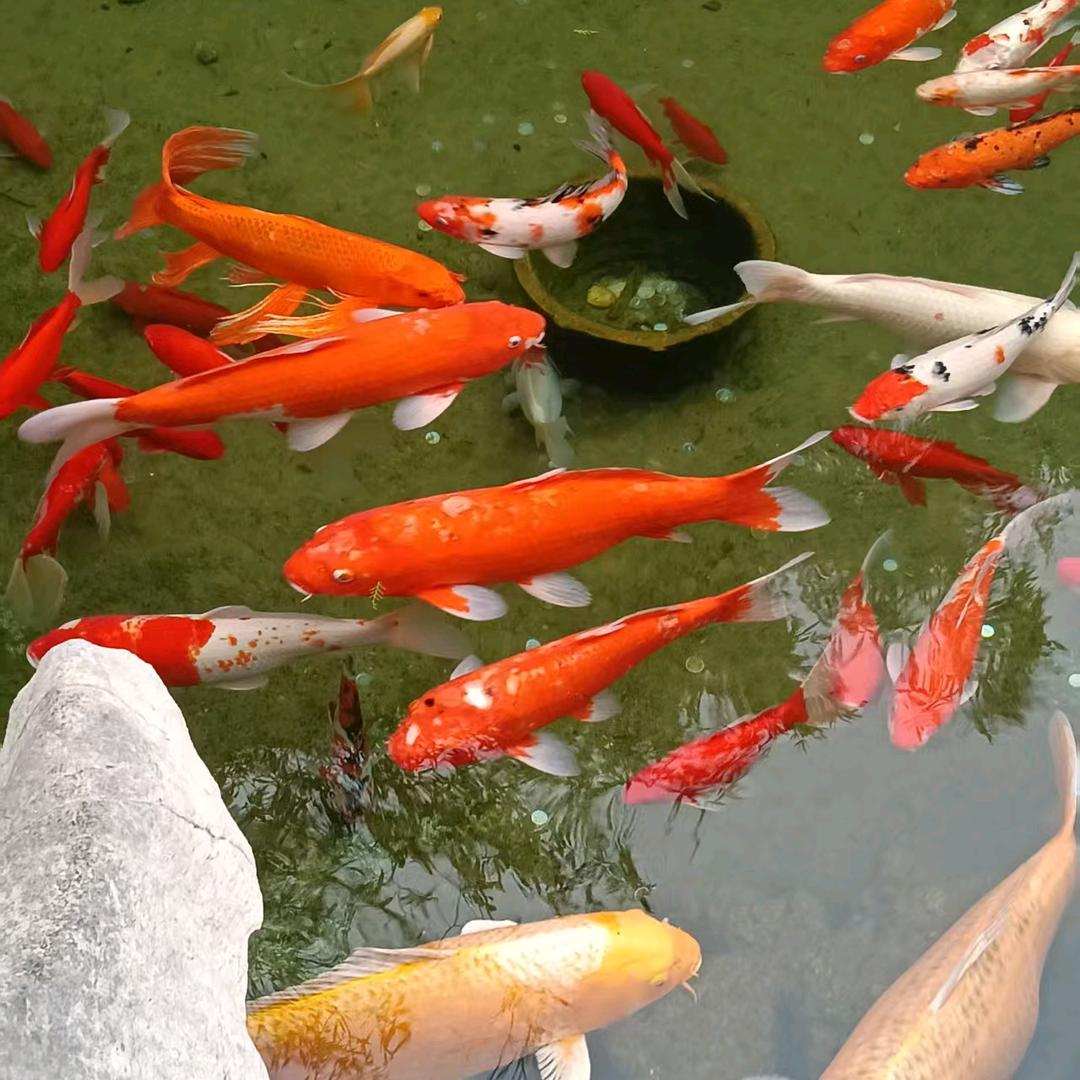 文水马尚治按摩