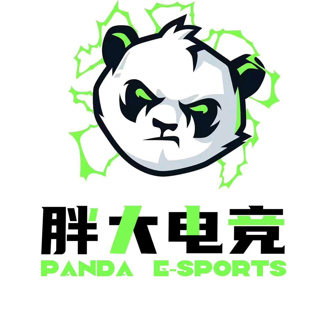 胖大电竞（三角洲行动）