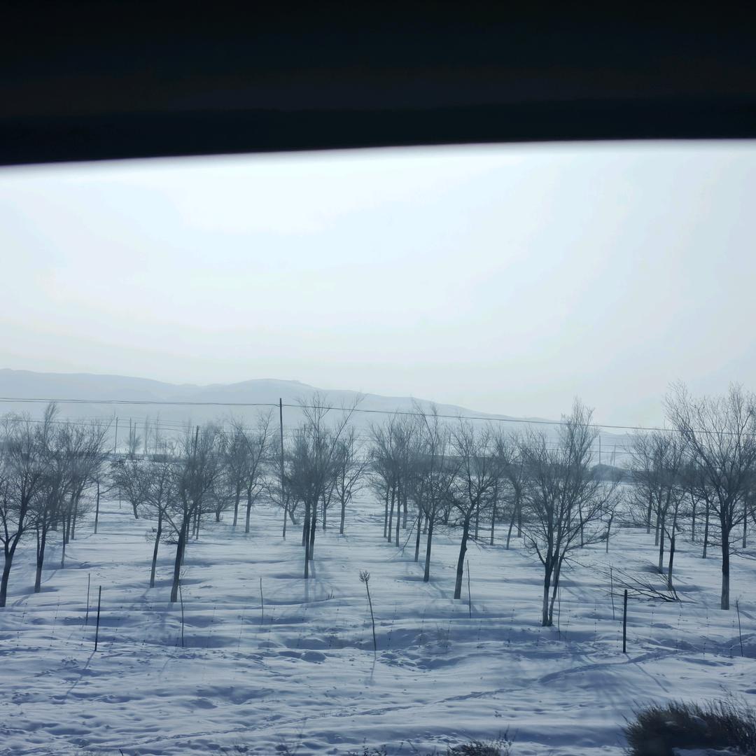 ❤️❤️❤️❤️