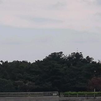 珺