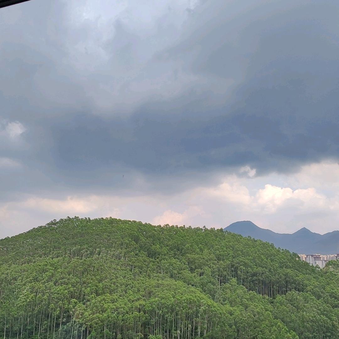 淡（宝妈推荐）