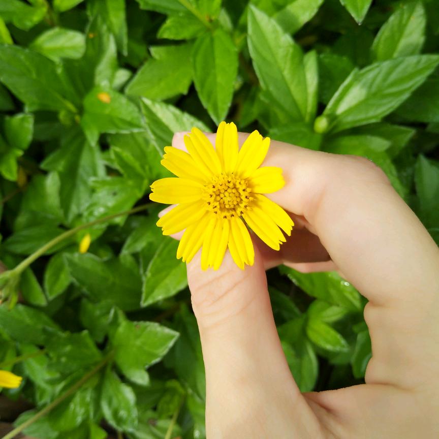 一往情深满眼星陈